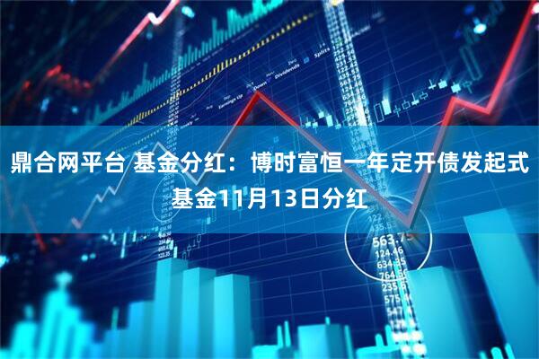 鼎合网平台 基金分红:博时富恒一年定开债发起式基金11月13日分红