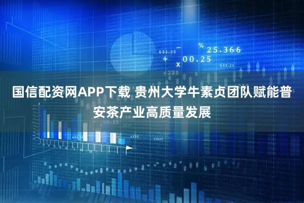 国信配资网APP下载 贵州大学牛素贞团队赋能普安茶产业高质量发展