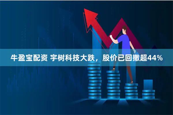 牛盈宝配资 宇树科技大跌，股价已回撤超44%