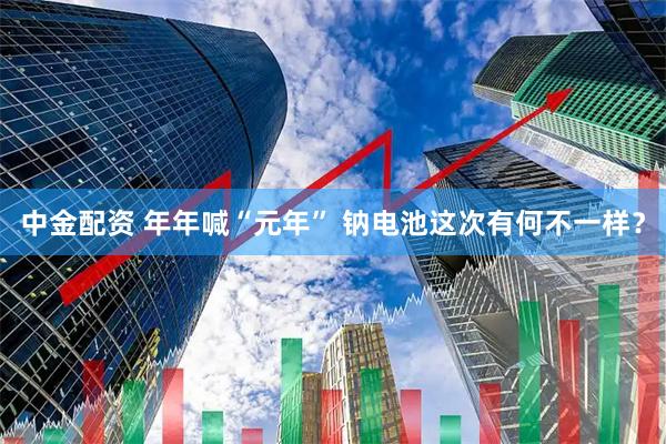 中金配资 年年喊“元年” 钠电池这次有何不一样？
